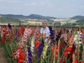 This blonde young woman admires the colorful splendor of the colorful gladioli