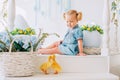 Blondel little girl in blue dress and two ponytales playing with yellow fluffy ducklings and laughing. Easter, spring