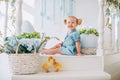 Blondel little girl in blue dress and two ponytales playing with yellow fluffy ducklings and laughing. Easter, spring
