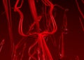 Blood arteries Royalty Free Stock Photo