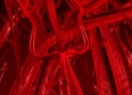 Blood arteries an veins Royalty Free Stock Photo