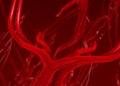 Blood arteries an veins Royalty Free Stock Photo