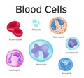 Blood cell Royalty Free Stock Photo