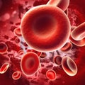 Blood cell background