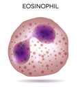 Blood cell Eosinophil