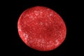 Blood cell erythrocyte