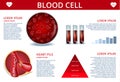 Blood Cell Infographic Banner with Copy Space