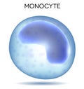 Blood cell Monocyte