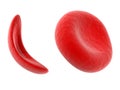 Blood cell Royalty Free Stock Photo