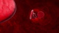 Blood cell veins, arteries, capillaries. 3D animation