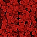 Blood cells