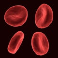 Blood cells