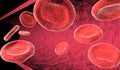 Blood cells in artery Royalty Free Stock Photo