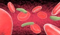 Blood cells and bacteria in artery Royalty Free Stock Photo