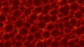 Blood cells or bacteria under microscope