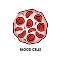 Blood cells color line icon. Microorganisms microbes, bacteria.