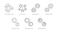 Blood cells doodle illustration including icons - erythrocyte, platelet, basophil, monocyte, leukocyte, lymphocyte