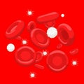 Blood cells erythrocyte platelet leukocyte vector