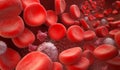 Blood Cells : erythrocyte, thrombocyte, leukocyte Royalty Free Stock Photo