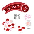 Blood cells exploration scientific poster with microscopic bodies Royalty Free Stock Photo