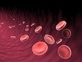 Blood cells flowing in vein