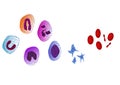 Blood cells - illustration Royalty Free Stock Photo