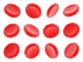Blood cells isolated on white background Royalty Free Stock Photo