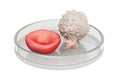Blood cells in petri dish, 3D rendering