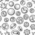 Blood cells seamless pattern. Hand drawn erythrocytes, leukocytes and platelet. Scientific biology illustration in sketch style