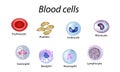 Blood cells. Set of colored cells. Red blood cells, platelets, leukocytes, lymphocytes, eosinophils, neutrophils Royalty Free Stock Photo