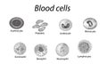 Blood cells. Set of monochrome cells. Red blood cells, platelets, leukocytes, lymphocytes, eosinophils, neutrophils Royalty Free Stock Photo