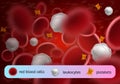 Blood Cells Types Realistic Vector Concept Royalty Free Stock Photo