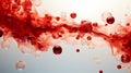 blood cells wave on white background