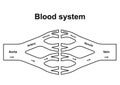 Blood circulation system Royalty Free Stock Photo