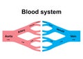 Blood circulation system Royalty Free Stock Photo