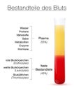 Blood Components German Names Plasma Red White Blood Cells