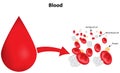 Blood Composition