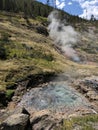 Blood Geyser with pool at Yellowstone National Park Royalty Free Stock Photo