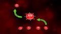 Blood Group AB with Receivers and Accepting Blood Groups