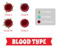 Blood group. Blood type. Royalty Free Stock Photo