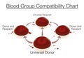 Blood Group Donation Compatibility Chart Universal Donor Recipient Transfusion