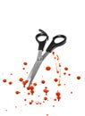 Blood and hair cutting scissors