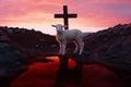 The blood of the lamb - lamb in a pool of blood - cross of Christ set against a vibrant sunset