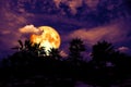 blood moon back silhouette tree in dark night heap cloud