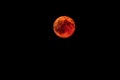 Blood Moon Black Background