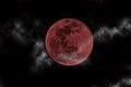 Blood moon Royalty Free Stock Photo