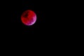 Blood moon concept of a red full moon against black sky Royalty Free Stock Photo