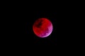 Blood moon concept of a red full moon against black sky Royalty Free Stock Photo