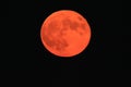 Blood Moon Japan Chiba Night time Royalty Free Stock Photo