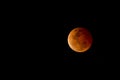 Blood moon - Lunar Eclips on October 8, 2014 in Australia Royalty Free Stock Photo